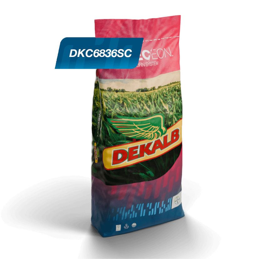 Embalagem do produto